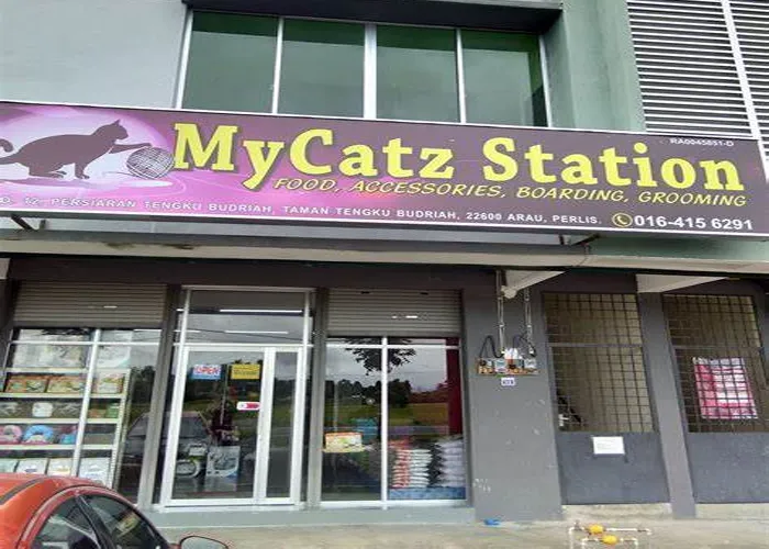 MyCatz Station