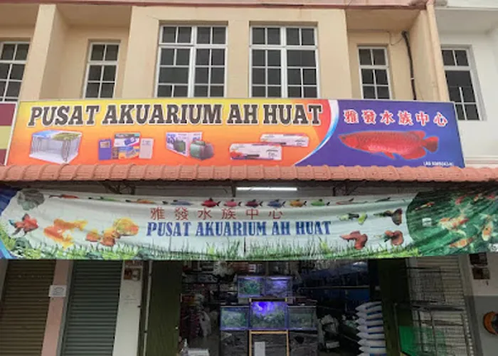 Pusat Aquarium Ah Huat